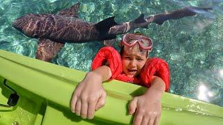 went SWiMMiNG with SHARKS!!  Adley & Mom got in shark water! family boat ride to find ocean animals