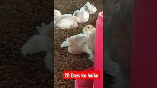 20 days ko boilar challa# shorts