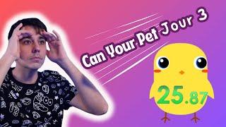 Can your Pet (Jour 3)