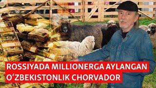 Millioner chorvador: Nega O‘zbekistonda qo‘y Moskvadan qimmat?