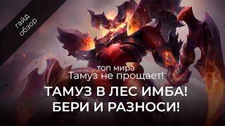 Топ Тамуз мира! Лесной Тамуз разносит! Гайд на Тамуза / Mobile Legends / Мобайл Легенд