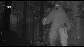 Finding BIGFOOT 2.0 UPDATE!! - Trapping Bigfoot!!