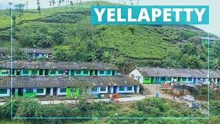 Yellapetty | Where the Sun Rises in 2 States - Munnar | #yellapetty #munnar #chinnar