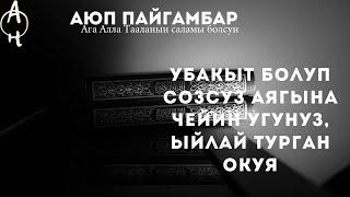 АЮП ПАЙГАМБАР дын сабырдуулугу,  бир кундо бала чакасынан, байлыгынан айрылган