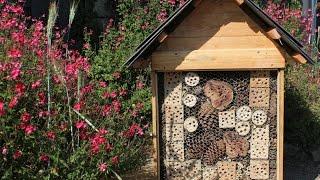 Luxury Bee Hotel Cover for Ugly Utility Box Made from Repurposed Wood and Found Objects