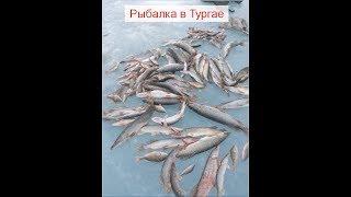 Рыбалка в Тургае март 2018! FishingDan-№16