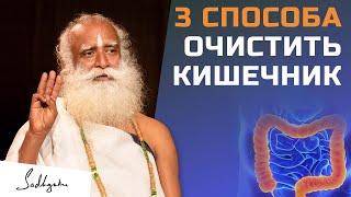 3 способа очистить кишечник | Садхгуру