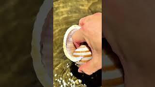 Hermit Crab’s Painful Pinch – Nature’s Tiny Warrior!