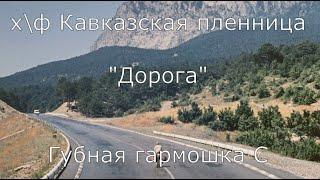 "Кавказская пленница" (Дорога) на губной гармошке С + табы. Для начинающих, без бендов.