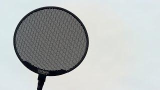 Stedman Proscreen XL Pop Filter Review