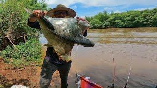 PESCARIA RAIZ DE CORIMBA NO RIO DOURADOS É MUITO PEIXE NESSE LUGAR