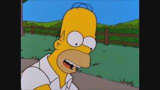 Homer JAY Simpson