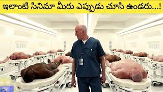 Downsizing movie story explained in Telugu l MovieGuru