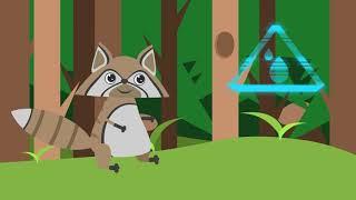 Animation Racoon.