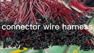 Custom Wire Harness Test！
