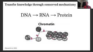 Travis Wrightsman - From Arabidopsis to Zea: Learning conserved cis mechanisms of gene regulation