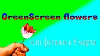 GreenScreen flowers или футажи к 8 марта HD1080