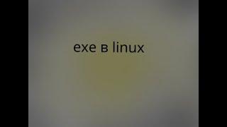 Как запустить exe файл в Linux?