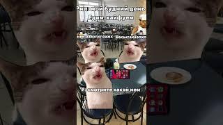 Ееее, первое видео. Мне продолжать? #мем #котыприколы #пов #кпоп #треш #шортс #наоки #первоевидео
