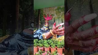 पूतना वध  #Anil# tanu #vlogs