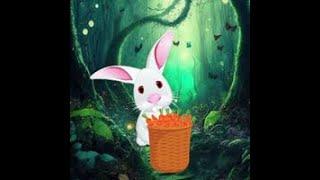 hungry bunny escape video walkthrough