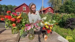 Dahliaskolan med Linda Schilén - del 1