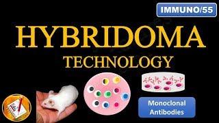 Hybridoma Technology: Production of Monoclonal Antibodies (FL-Immuno/55)