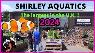 Inside the uk's largest aquatic store 2024