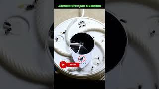 Самая хорошая электрическая мухоловка Fly Trap