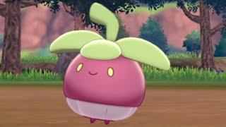 How to Catch BOUNSWEET (West Lake Axewell) - Pokemon Sword & Shield