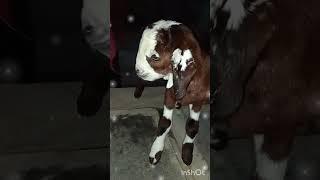 New born baby 