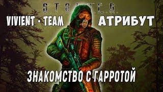 S.T.A.L.K.E.R. АТРИБУТ | ПОИСК ТАЙНИКОВ, ИЗУЧАЕМ МЕСТНОСТЬ, ЗАЧИСТКА АВАНПОСТОВ |ПРОХОЖДЕНИЕ | #4