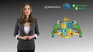 2022 Гражданство Доминики: Условия Получения. Процесс. Стоимость. Ваш Второй Паспорт.