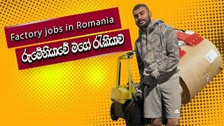 රුමේනියාවේ මගේ රැකියාව   |  factory jobs in Romania  #romania #srilanka