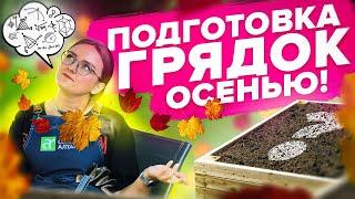 ЧТО ВНЕСТИ В ГРЯДКИ С ОСЕНИ?