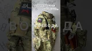 Бронежилет полный комплект бронезащиты Воевода  #бронежилет #бр5 #воевода