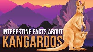 Interesting Facts About Kangaroo | Kangaroo Facts for Kids | Kangaroo Facts