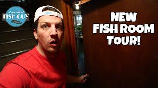 NEW FISH ROOM SETUP! | Unveiling the New House!