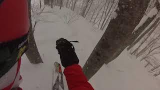 Tree skiing in Myoko, Japan