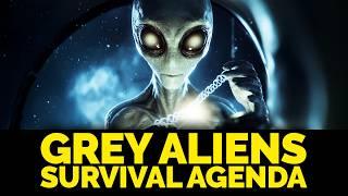 The Disturbing Truth About Gray Aliens | True ET Abduction Story