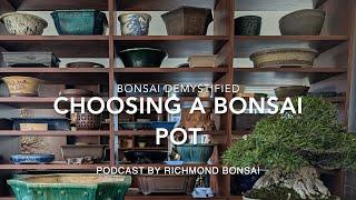 Finding the best bonsai pot  - Bonsai demystified for beginners