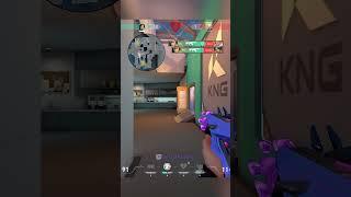 Radiant Sage Demonstrates a Strategic Clutch 