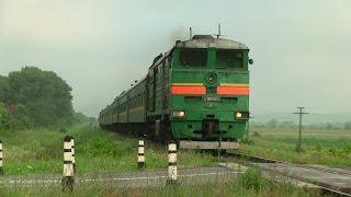 Tепловоз 3ТЭ10М-0019А с пассажирским поездом / 3TE10M-0019A locomotive