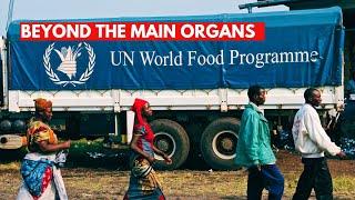 Beyond the six main organs of the United Nations