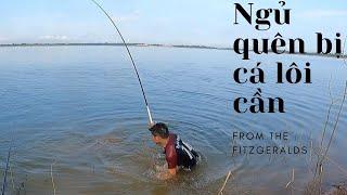 Me Dinh fish (Barbonymus gonionotus) l Snakehead fish with fishing rod l Duongvevlog