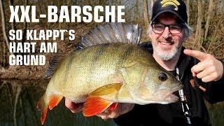 Barschangeln - so fängst du XXL Barsche mit Gummifischen