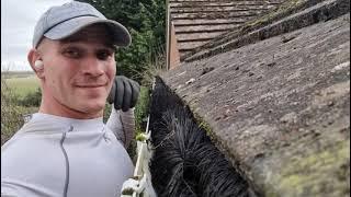 Cleaning Gutters With Gizzy Green Fingers (Moss Build-up)