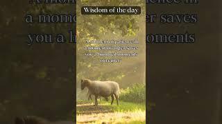 WISDOM OF THE DAY