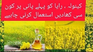 First water fertilizer plan of Mustard.. Raya ko pehly pani per konsi khad den @YASIRAGROCHEMICAS