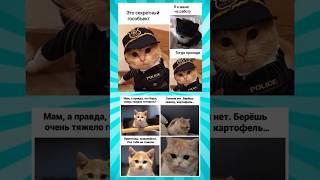 Мемасики про котиков часть 359 #meme #funny #shorts